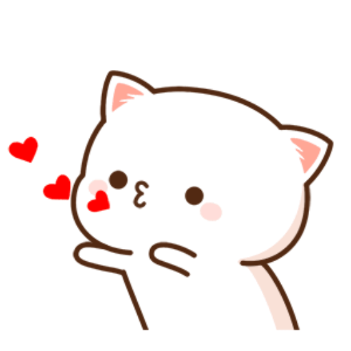 kitten